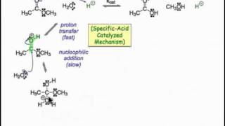 Ester Hydrolysis Uncatalyzed vs Catalyzed [upl. by Aicilihp672]