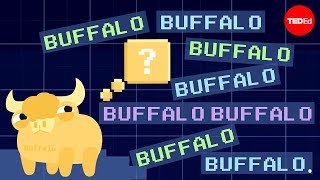 Buffalo buffalo buffalo Oneword sentences and how they work  Emma Bryce [upl. by Lozano32]