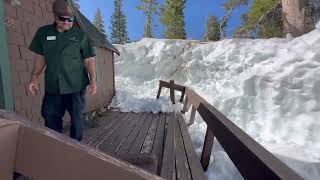 Spring has sprung and the race to rebuild is on Mammoth Lakes May 2023 [upl. by Recor]