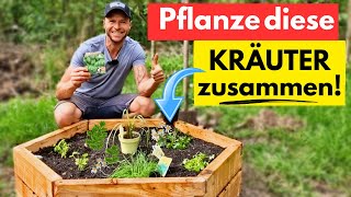 JEDER spricht darüber🌿So pflanzt du das ULTIMATIVE Kräuterbeet für Balkon amp Garten [upl. by Orimar]