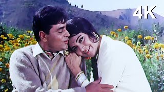 Mera Pyar Bhi Tu Hai  Saathi Movie 4K Song  Rajendra Kumar amp Vyjayanthimala  Mukesh amp Suman [upl. by Arimay675]