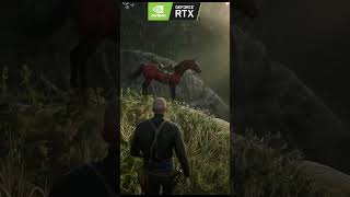 Rare Red Arabian Horse  RDR 2 [upl. by Anaira]