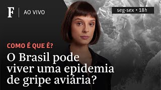 Como é que é  O Brasil pode viver uma epidemia de gripe aviária [upl. by Orville879]