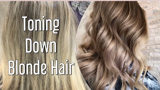 Toning Down Blonde Hair  MUSHROOM BROWN Tone [upl. by Anaeco]