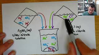 Net ionic equations [upl. by Niak]