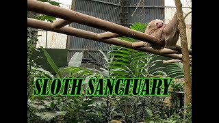 SELVATURA PARK SLOTH SANCTUARY [upl. by Aikal]