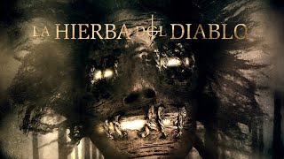 quotLA HIERBA DEL DIABLOquot  TRAILER OFICIAL [upl. by Glenden65]