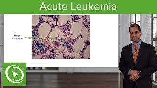 Acute Leukemia Etiology amp Subtypes – Pathology  Lecturio [upl. by Hobard]