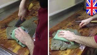 How to make sushi Restaurant criticized for posting video of chef butchering live fish  TomoNews [upl. by Meras616]