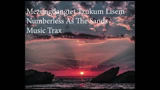 Ao hymnal no 407  Music Trax  Mezungdangtet Tzukum Lisem  Numberless as a Sands [upl. by Guglielma883]