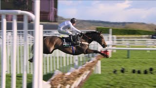 CONSTITUTION HILL is pure perfection as he runs away with the 2023 Champion Hurdle [upl. by Rena]