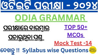 OTET EXAM 2024  Odia Grammar  Mock Test14  Top Selected MCQs For CT JT OSSTET RHT LTR Exam [upl. by Trepur]