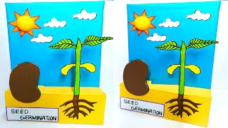 Seed germination model craftpiller [upl. by Westerfield]