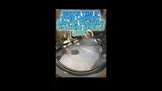 Bad Smells in Your Laundry and Washer AFTER Washing [upl. by Greeson64]