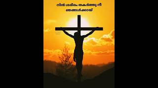 Krooshil kandu njan nin snehathe malayalamchristiansongswithlyrics malayalamchristianstatus [upl. by Juana7]