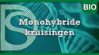 Examen biologie  Monohybride kruisingen Erfelijkheid [upl. by Zabrine465]