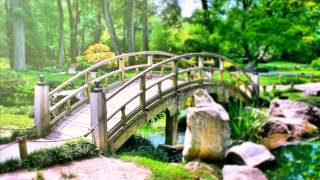 Relaxing Reiki Healing Music Meditation Calming Music for Balance and Concentration Relax Yoga [upl. by Zita404]