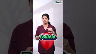 What Is Follicular study  ஃபோலிகுலர் Study என்றால் என்ன [upl. by Inigo]