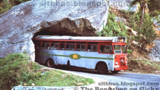 OLD CTB BUSES IN SRI LANKA [upl. by Thorma]