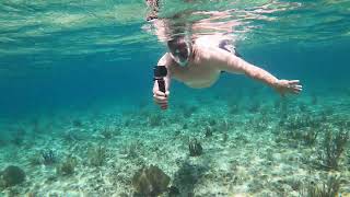 Playa Corona in Cozumel Snorkeling March 2022 [upl. by Jodee381]