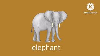 Elephant Noise Effects [upl. by Norvol]