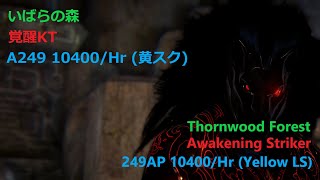 BDO  Thornwood Forest  Awakening Striker 249AP 10400Hr Yellow LS [upl. by Norat372]