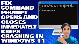 How To Fix Command Prompt Opens and Closes Immediately Keeps Crashing in Windows 1011 [upl. by Thurstan407]