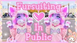 Fursuiting In Public My Experience [upl. by Andrea948]