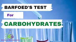 Barfoeds Test  General test for carbohydrates identification [upl. by Lorita]