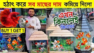 Aquarium Price In Bangladesh 🐠Aquarium Fish Price In Katabon 😱 Fish Wholesale Shop In Katabon [upl. by Gherlein]