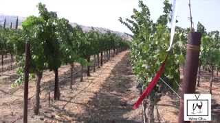 Learn About Livermore Valley Wine Tours and Tastings [upl. by Arabel573]