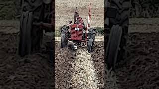 McCormick International B275 Tractor at Forest of Arden Ploughing Match  Sunday 15th September 2024 [upl. by Yltsew140]