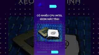 CPU Intel Xeon X5650  CPU00015 xuhuong review voibien [upl. by Anaid653]