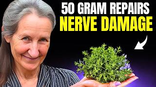 THEY HID THIS 7 Herbs That REVERSE Nerve Damage  Barbara ONeill [upl. by Nawat39]