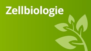 Die Geschichte der Zellbiologie  Biologie  Biologie der Zellen [upl. by Anertal559]