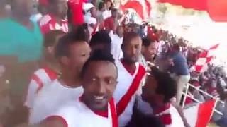 Fasil Kenema football club fans singing Teddy Afro’s “Atse Tewodros” song [upl. by Aivila555]