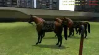 Gmod  WTF Horse [upl. by Darbee]