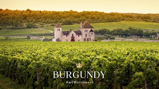 Experience Burgundy France with AmaWaterways [upl. by Niwre]