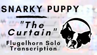 Snarky Puppy  The Curtain Flugelhorn Solo Transcription [upl. by Ahsiram]