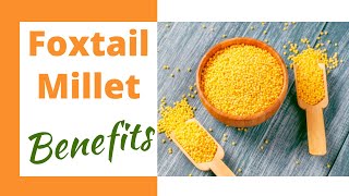 Foxtail Millet राळं Benefits amp Simple Recipe  In Marathi [upl. by Leora]