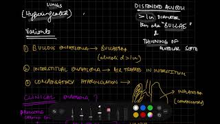 EMPHYSEMA  RESPIRATORY SYSTEM  PATHOLOGY [upl. by Nelyak]