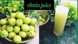 Amla Juice Recipe  How To Make Amla Juice At Home  Indian Gooseberry Juice 🧃🥤 [upl. by Herrera441]