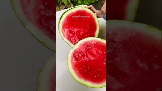 Fruit Cutting Seedless Watermelon 🍉🍉🍉 shorts satisfying fruitcutting fruit food watermelon [upl. by Kcirrem]