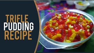 Trifle Pudding  Eggless Easy amp Tasty Mixed Fruit Custard Trifle Pudding  100thVideoSpecial [upl. by Stock988]