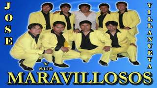 Los Maravillosos Mix Leo Dan [upl. by Mile]