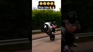 ninja rider insane wheelie automobile bmws1000rr ninja zx10r rider [upl. by Wolliw]