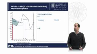 Análisis de Diagrama de Equilibrio Identificación de Fases y Componentes [upl. by Orban]