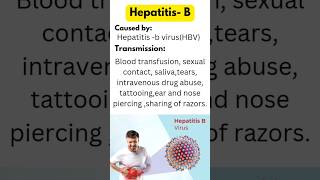 Hepatitisbhepatitisbhepatitis b virushepatitis b infectionhepatitis b infectionneetshorts [upl. by Amund]