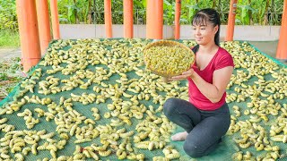 Harvest A Lot Of Silkworm Goes To Countryside Market Sell  Farm Life  Phuong Free Bushcraft [upl. by Kristina102]