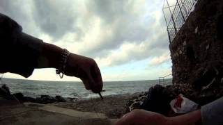 pesca a bogliasco [upl. by Uno]